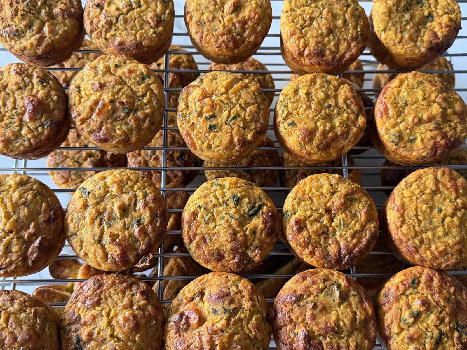 Chicken Muffins